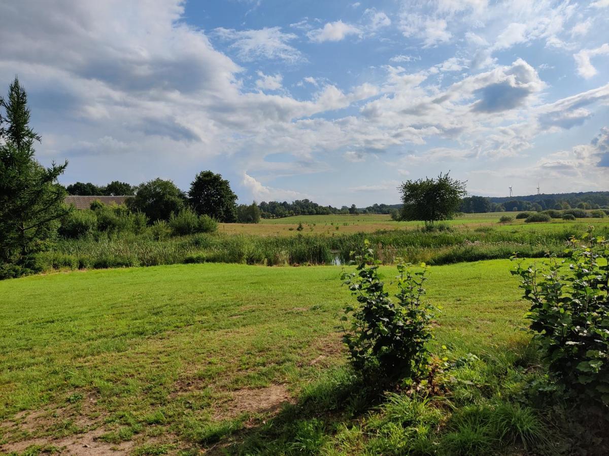 Osada Karszewo, Sauna Bania, Ryby Buitenkant foto