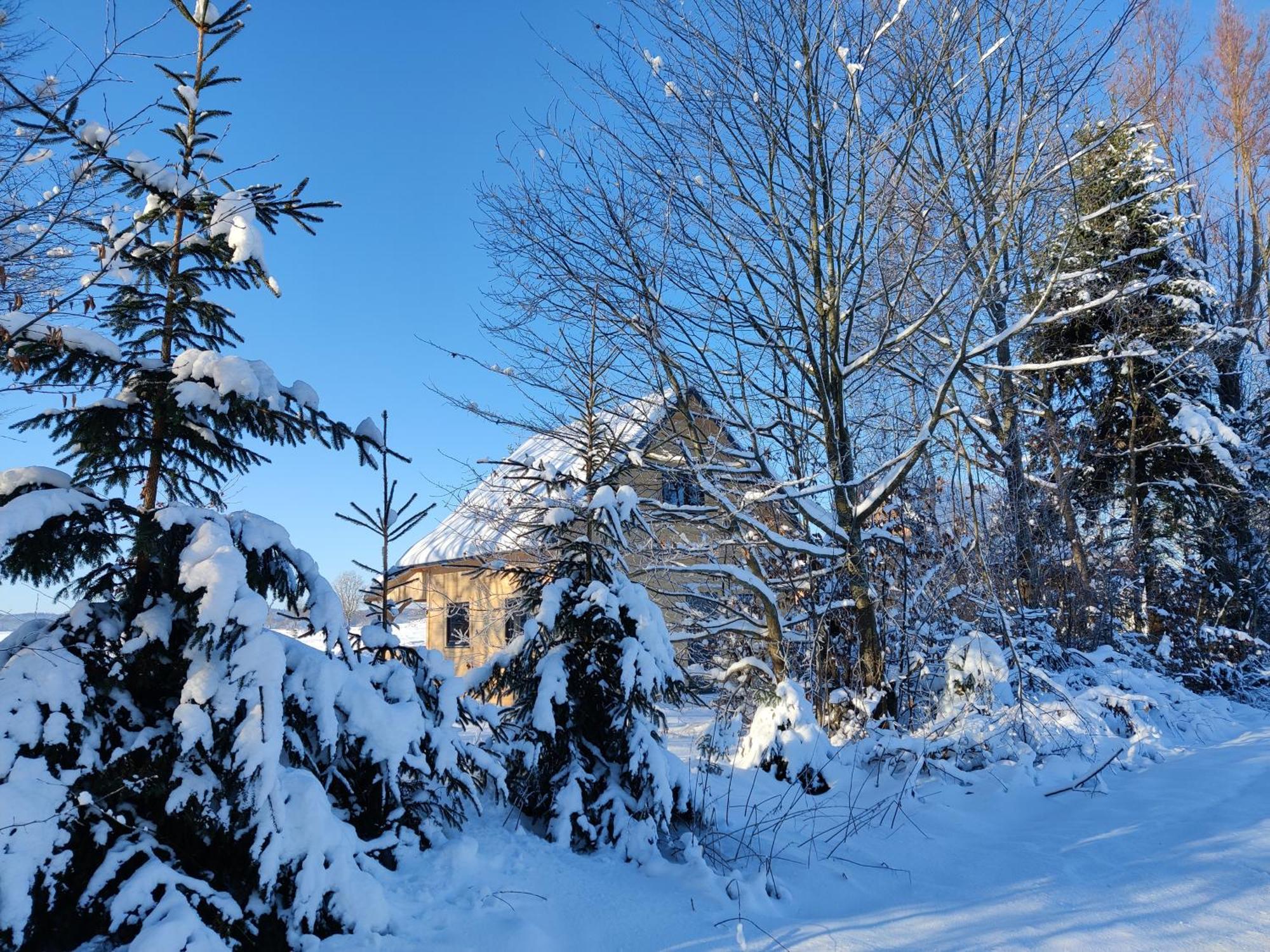 Osada Karszewo, Sauna Bania, Ryby Buitenkant foto