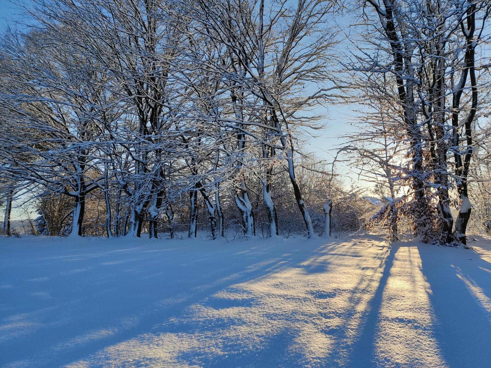 Osada Karszewo, Sauna Bania, Ryby Buitenkant foto