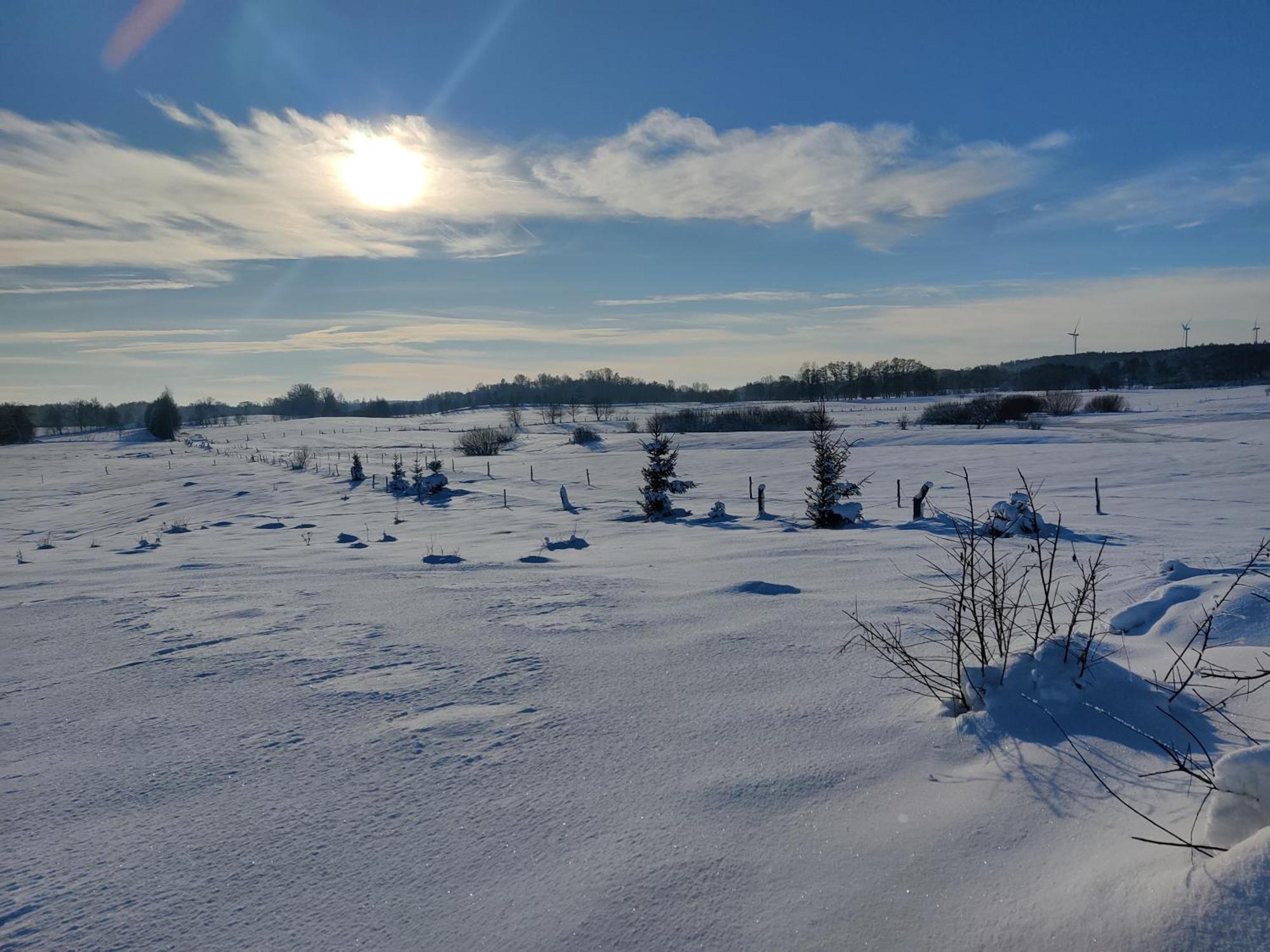 Osada Karszewo, Sauna Bania, Ryby Buitenkant foto