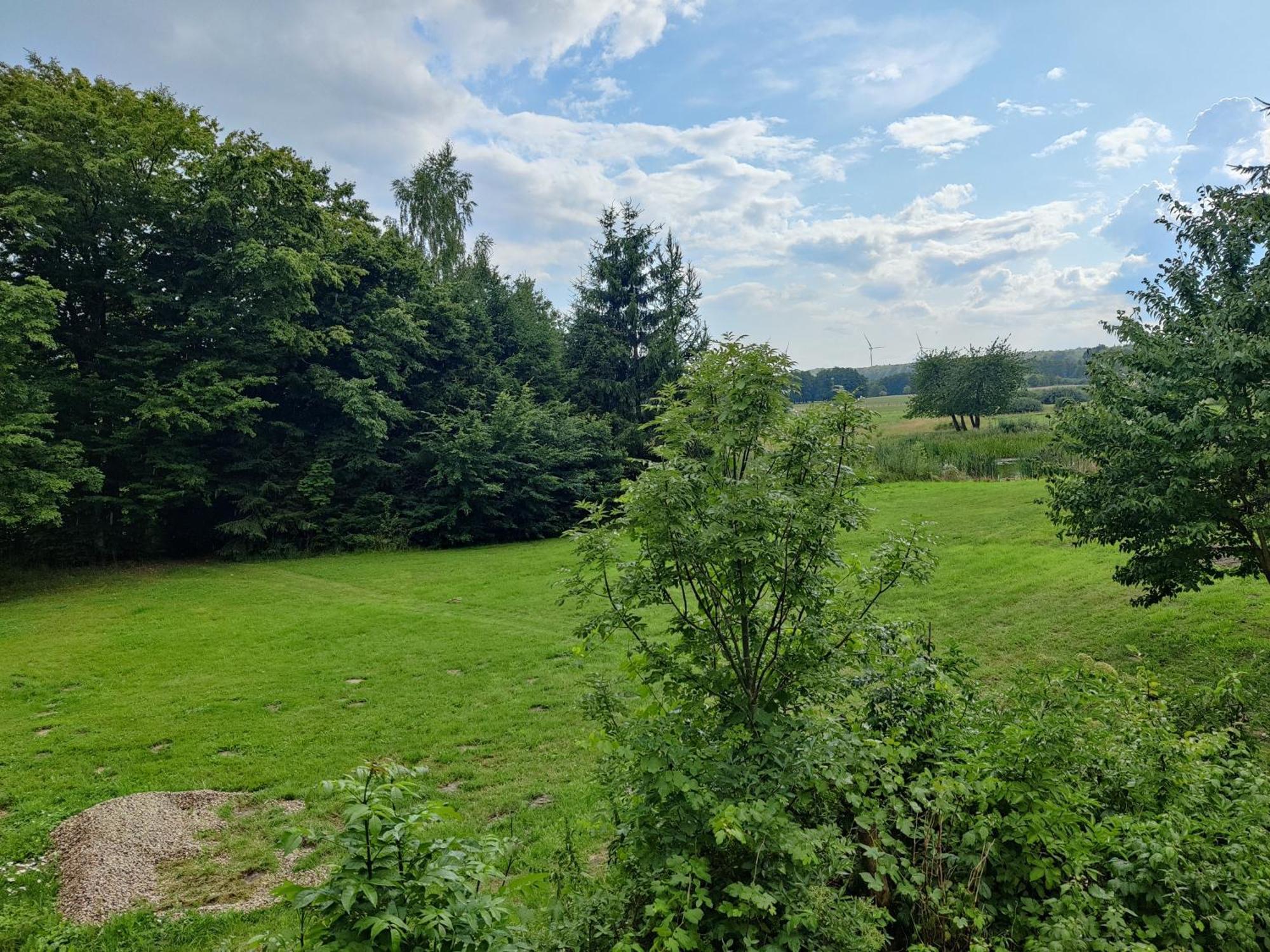 Osada Karszewo, Sauna Bania, Ryby Buitenkant foto