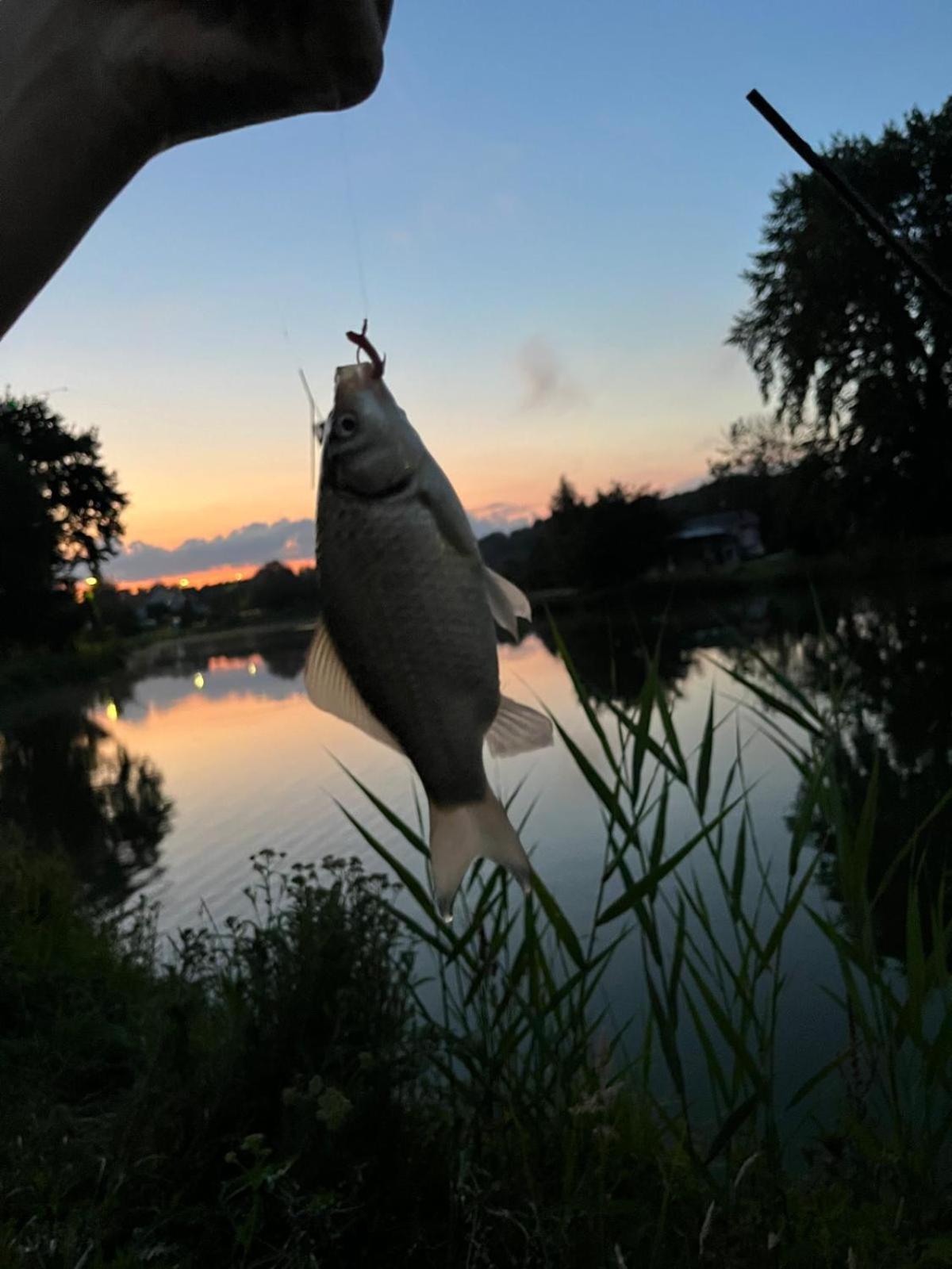 Osada Karszewo, Sauna Bania, Ryby Buitenkant foto