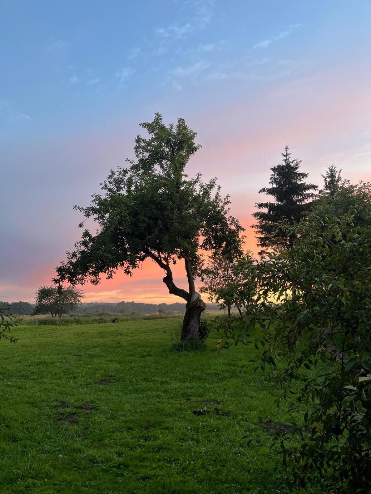 Osada Karszewo, Sauna Bania, Ryby Buitenkant foto