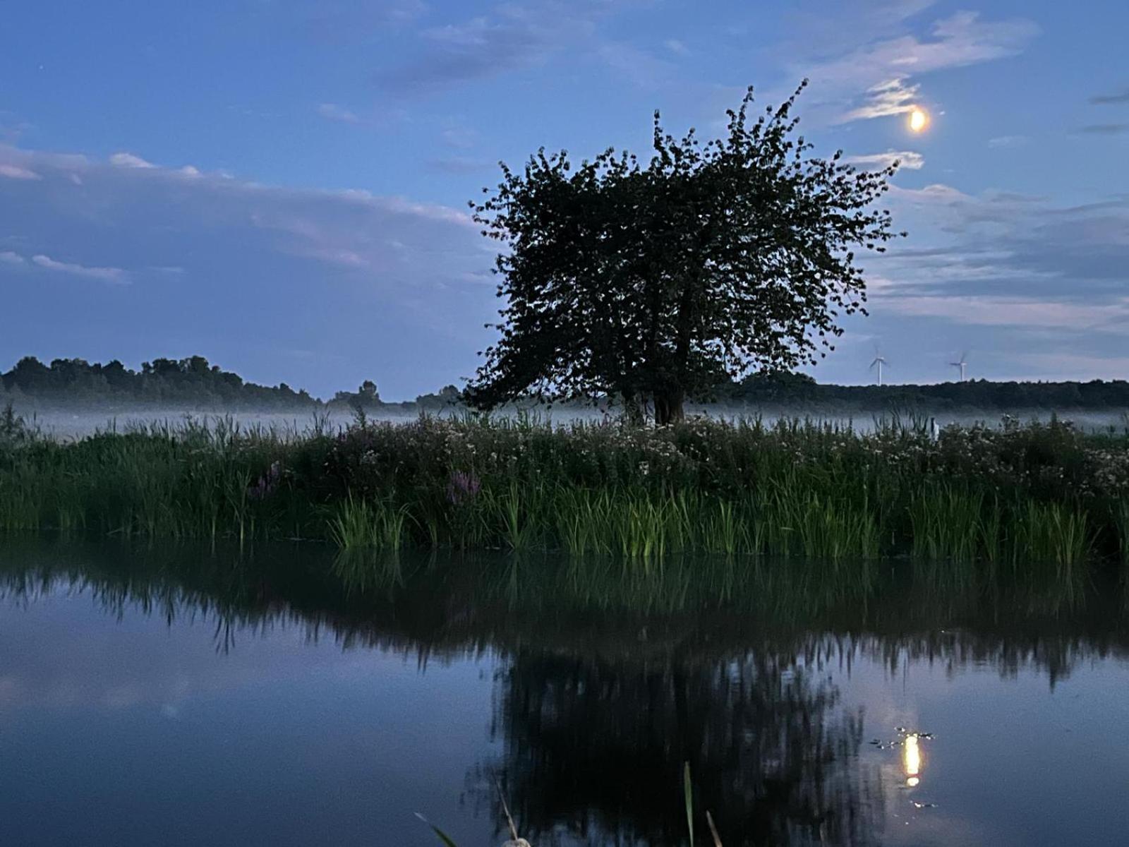 Osada Karszewo, Sauna Bania, Ryby Buitenkant foto
