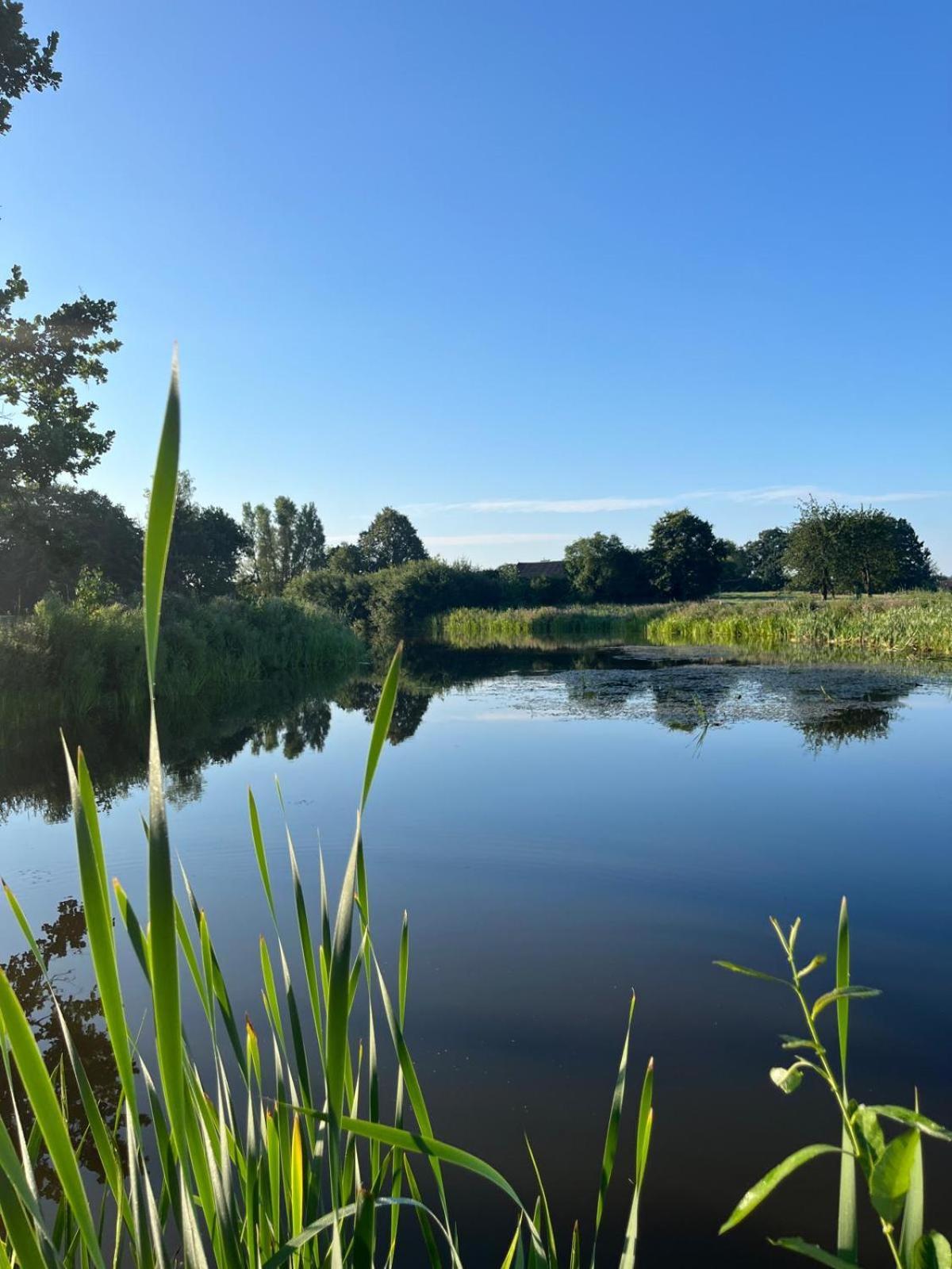 Osada Karszewo, Sauna Bania, Ryby Buitenkant foto