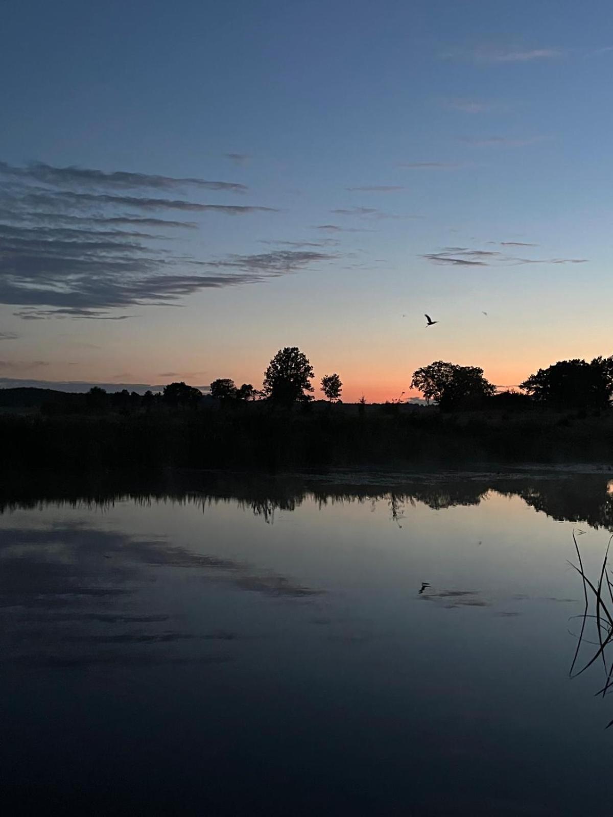 Osada Karszewo, Sauna Bania, Ryby Buitenkant foto