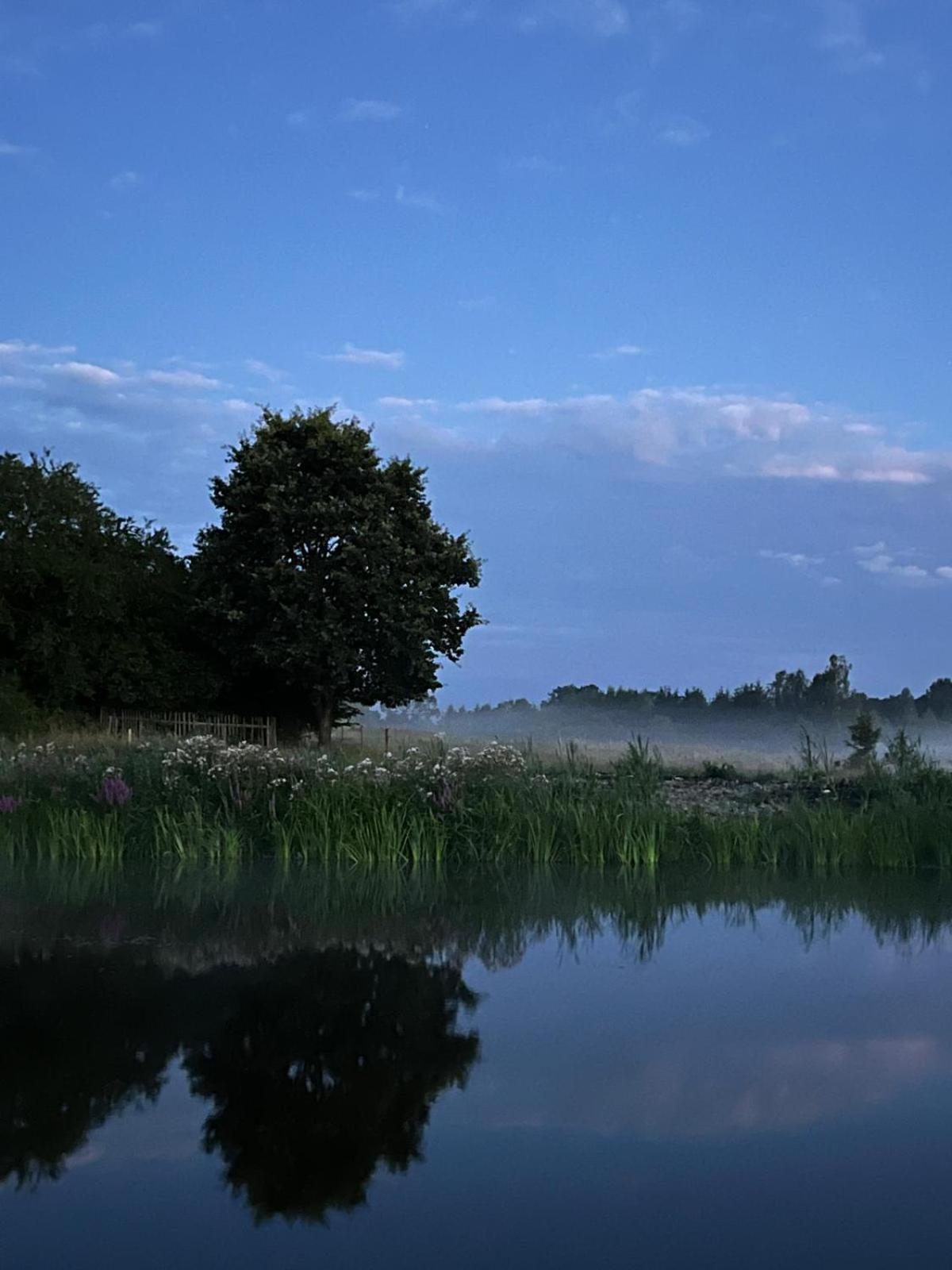 Osada Karszewo, Sauna Bania, Ryby Buitenkant foto
